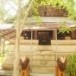 สิมวัดบ้านดูน