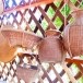 กลุ่มชาติพันธุ์ไทยพวน ในเขตพื้นที่จังหวัดสุพรรณบุรี