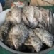 การถนอมอาหารจำพวกสัตว์ของชาวโคราช 
