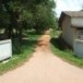 โรงเรียนบ้านหนองม่วง