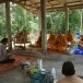 ประเพณีลอยแพ