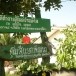 ประวัติความเป็นมาของหมู่บ้านพะไล  