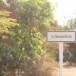 บ้านโพนแค