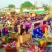 ประเพณีบุญคูณลาน จังหวัดยโสธร