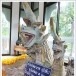 วัดพระธาตุปางม่วง