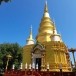 วัดนาศาลา