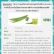 เตย