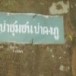 ป่าดงภูดิน