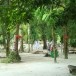 วัดพังสิงห์