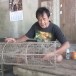 ไซผี