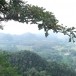 ภูเขาหลักจัน