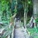 อุทยานแห่งชาติหาดขนอม