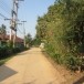 ประวัติบ้านนาหวาย