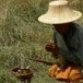เครื่องเซ่นและอุปกรณ์รับขวัญข้าว