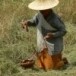 เครื่องเซ่นและอุปกรณ์รับขวัญข้าว