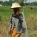 เครื่องเซ่นและอุปกรณ์รับขวัญข้าว