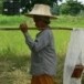 เครื่องเซ่นและอุปกรณ์รับขวัญข้าว