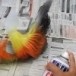 ไก่แจ้ประดิษฐ์จากขวดน้ำพลาสติก
