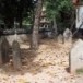 แหล่งโบราณคดี วัดดงเฒ่าเก่า