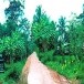 ตำบลแนงมุด