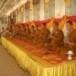 พิธีกวนข้าวทิพย์วัดราษฎร์บำรุง