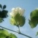 ประวัติตำบลบ้านโคก