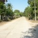 ประวัติบ้านหนองหมากแซว