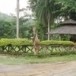 สวนป่าแม่ละเมา