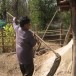 เตาเผาถ่านภูมิปัญญาท้องถิ่น