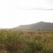บ้านกาดถี 