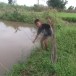 เบ็ดตกปลาสมัยก่อน