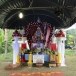 ประเพณีแห่พญายม