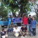 ต้นมะม่วงแก้วลืมรัง  ต้นไม้ทรงปลูก