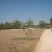 โรงเรียน[บ้านวังน้ำมอก