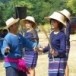 เต้นกำรำเคียว