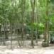 สำนักสงฆ์ป่าแม่ลาน