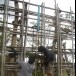 ประเพณีบุญบั้งไฟ บ้านพรเจริญ
