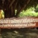 โครงการวัฒนธรรมไทยสายใยชุมชนวัดบูรณ์ (ปะโค)