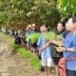 ประเพณีบุญเบิกฟ้า