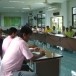 ประวัติบ้านดงเจริญ  หมู่ ๑๒