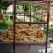 ข้าวตังหมูหยอง  บ้านหอกลอง  อำเภอโนนไทย  จังหวัดนครราชสีมา