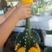 บายศรีปากชาม