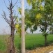 ภูมิบ้านภูมิเมืองตำบลบางเพลิง