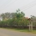 วันสันคะยอม
