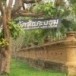 วันสันคะยอม
