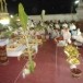 พิธีสะเดาะเคราะห์