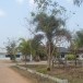 องค์การบริหารส่วนตำบลเต่างอย 