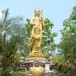 พระแม่กวนอิมมหาโพธิสัตว์  