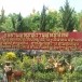 พระแม่กวนอิมมหาโพธิสัตว์  