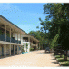 โรงเรียนบ้านป่างิ้วหนองฮี